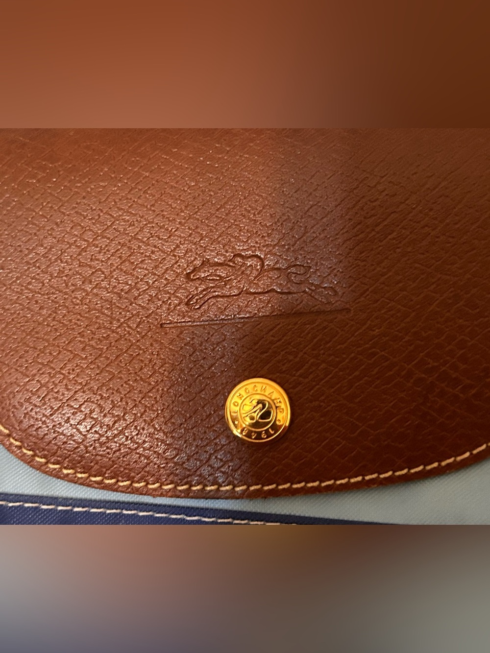 Longchamp Bag - Picture 3 of 16